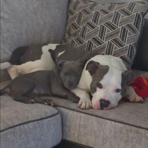 Meet your Posher, Keith